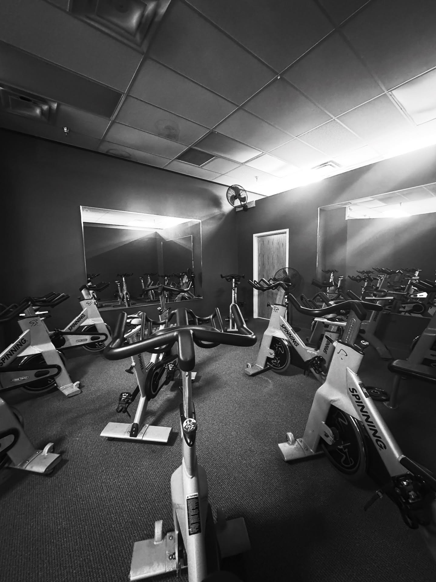 The cycle studio